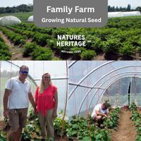 Natures Heritage 24 Variety Winter Vegetable Seed